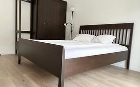 Apartament la liziera pădurii Timisoara